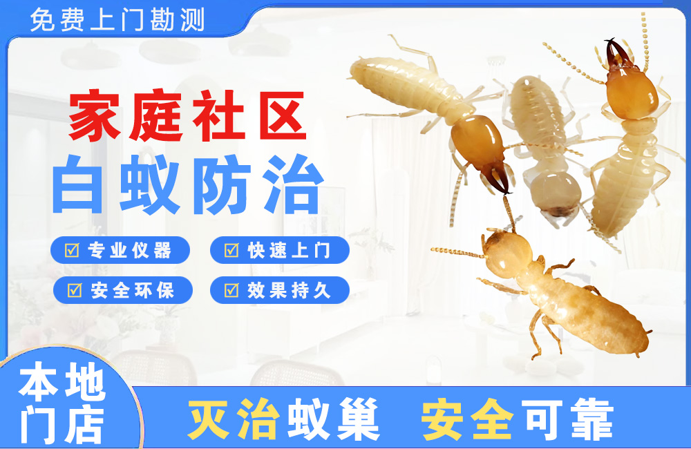 平湖家庭社区白蚁防治
