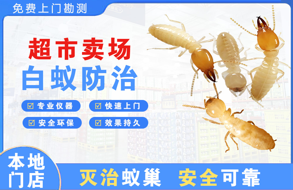 平湖超市卖场白蚁防治