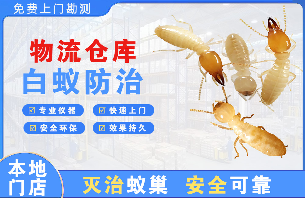 平湖物流仓库白蚁防治