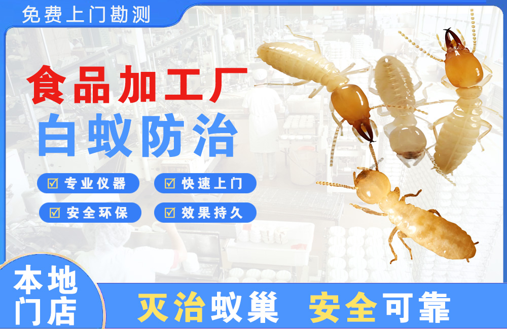 平湖食品加工厂白蚁防治