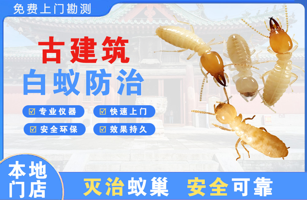 平湖古建筑白蚁防治