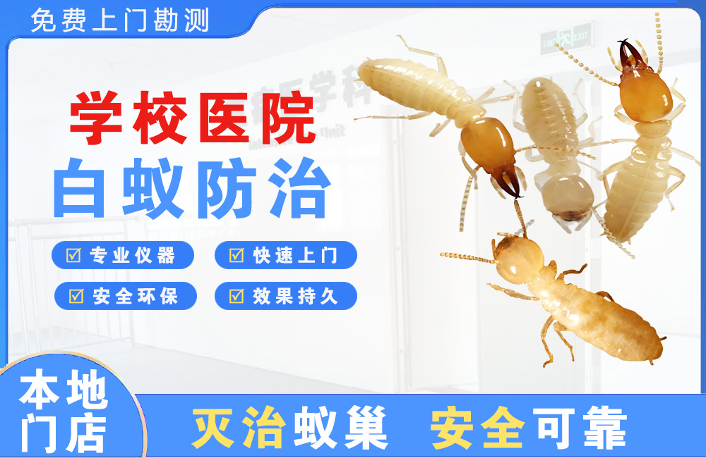 平湖学校医院白蚁防治
