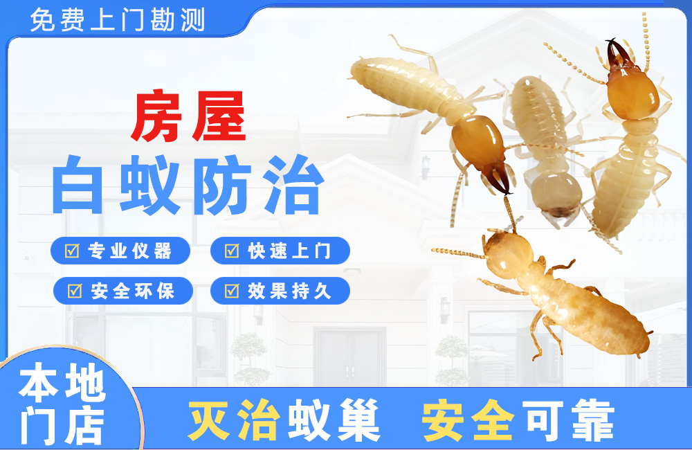 平湖房屋白蚁防治