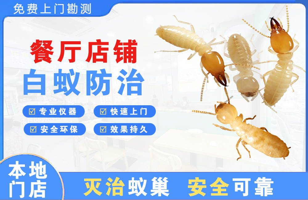 平湖餐厅店铺白蚁防治
